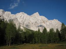 Odpri povezavo